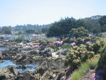 Beach0606.jpg