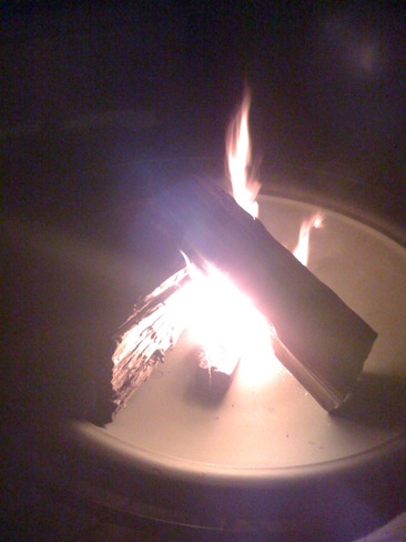 DeanFireApr0109.JPG