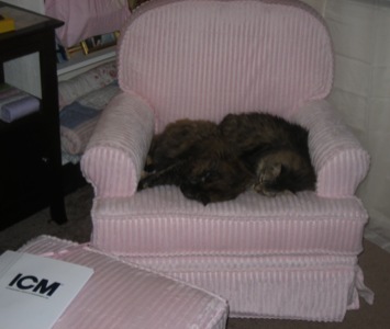 IzzieChairJuly06.jpg
