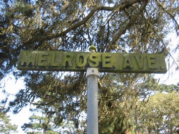 Melrose0306.jpg