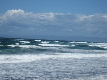 Ocean1-0306.jpg