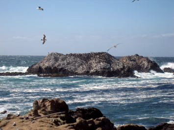 Ocean2-0306.jpg