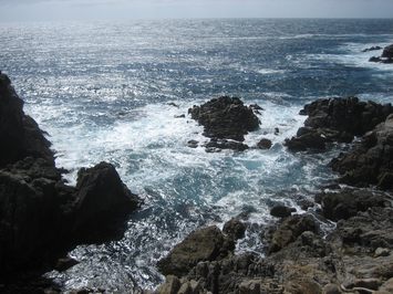 Ocean3-0306.jpg