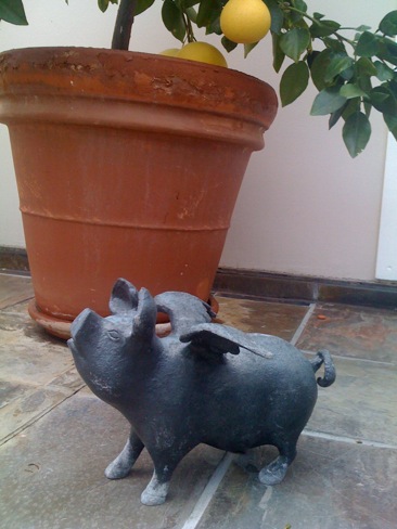 PatrickPig0309.jpg