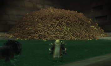WoodBones0606.jpg